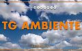 Tg Ambiente - 18/1/2026