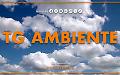 Tg Ambiente - 29/3/2026