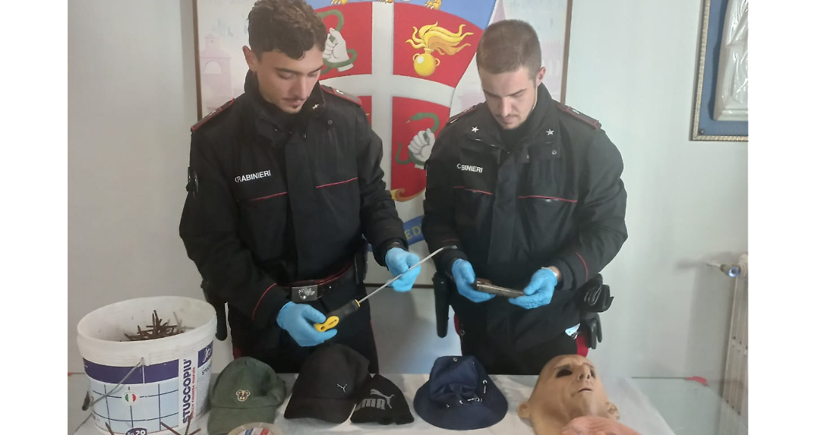 Stolen Car Chase: Arrest & Anti-Pursuit Nail Discovery