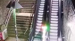 Cinghiali sbucano sulle scale mobili e si tuffano davanti alle persone: momenti di paura, il video