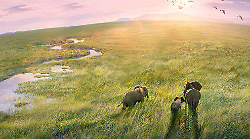 Planet Earth III stasera in tv mercoled&igrave; 4 settembre su Rete 4: le anticipazioni sulla serie evento di Bbc