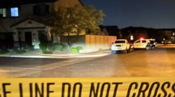 Muore a 4 anni dimenticata nell'auto dai genitori. La temperatura nel Suv era di 54 gradi. Tragedia in Arizona