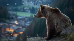 Pericolosamente vicini stasera in tv venerdì 4 ottobre su Rai 3: trama e anticipazioni sul documentario