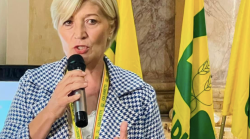 Arezzo, stagione dell'olio al via. Castellucci (Coldiretti): "Ottimo e niente rincari, manodopera italiana non c'è"