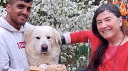 Arezzo, uccisa dall'ex della figlia. Il bastone e il cellulare non si trovano. Perché la lite. Il 37enne davanti al gip