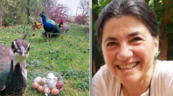 Arezzo, omicidio: ultimo saluto a Letizia. La figlia: "Persona bellissima vorrei diventasse un diamante". Raccolta di aiuti 