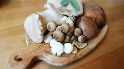 Arezzo, Festa dei funghi oggi domenica 20 ottobre a Villa Severi. Premio al porcino più grande, mostra micologica, caccia al tesoro e tanto altro