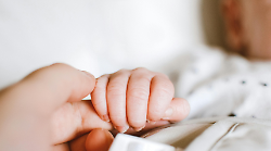 Aumentano i residenti e gli stranieri. Gli abitanti ora sono poco meno di 29 mila