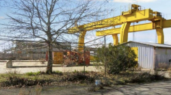 Area produttiva in abbandono diventa tana di cinghiali ma ora è pronta per il rilancio: va all'asta
