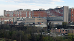 Uomo investito a San Giovanni Valdarno, trasportato a Le Scotte in codice 3