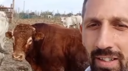 Marco Paris, il contadino che cerca moglie. Ora sogna la sua principessa che ami gli animali, la campagna e le verdi colline dell'Umbria. Ecco chi è