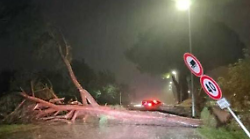Maltempo, notte di problemi per il vento con alberi caduti e black out: colpito in particolare il Casentino