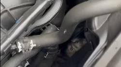 Gatto si nasconde nel vano motore dell'auto del sindaco. Mario Agnelli: "Sentivo miagolare. Ora è libero e ha trovato famiglia"