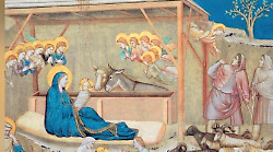 Arezzo Città del Natale, anche Giotto in 3D nella basilica di San Francesco