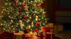 Albero di Natale: come mantenerlo in casa e dove portarlo una volta finire le feste