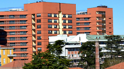 Mamma e bambino morti durante il parto. Fatale una crisi respiratoria. Inutile un Cesareo d'urgenza per salvare il piccolo. Indagine interna al Policlinico