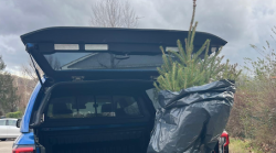 Alberi di Natale usati, Silvia ha iniziato a raccoglierli e li pianta nel suo terreno
