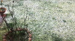Meteo, intensa grandinata in parte delle province di Arezzo e Siena. Ora arrivano gelo e vento. Neve sui rilievi