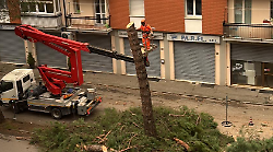 Arezzo, fa discutere il taglio degli alberi in via IV Novembre. L'assessore Casi: "Motivi di sicurezza"