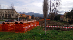 Sessanta pioppi spariscono lungo il Castro, cittadini perplessi per il nuovo taglio di alberi