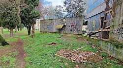 Arezzo, palazzo di vetro nel degrado. Viaggio nell'ex sede dimenticata della Camera di Commercio