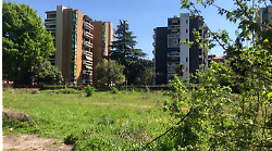 Arezzo, due Torri in via Tiziano. Romizi a fianco del Comitato: "No case, sì ad area verde"