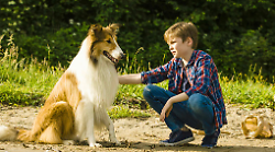 Lassie torna a casa, il film del cane più amato in prima serata Rai. La trama
