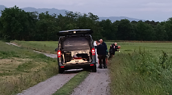Trovato morto in un campo: è una guardia giurata di 35 anni