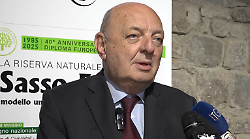 Natura e biodiversità, il ministro Fratin a Camaldoli: "Preservare questo luogo  meraviglioso". Visita nella riserva di Sasso Fratino
