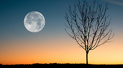 Luna e Antares si avvicinano nel cielo di maggio, il romantico incontro astronomico del 14 maggio