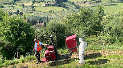 Ruderi del castello medievale ed ex canonica dissequestrati a Mammi dopo blitz di un anno e mezzo fa per rifiuti e violazioni