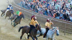 Palio dei Rioni, tutte le anticipazioni su fantini e cavalli per la sfida di domenica 15 giugno