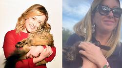 Giorgia Meloni e il suo amore per i suoi gatti Martino e Micia e sui social dopo la scelta del nome scrive: "Grazie a tutti, tranne a quelli che mi hanno proposto di chiamarlo Renzi"