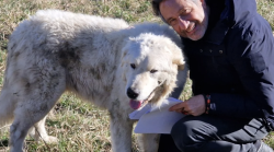 Mario Tozzi torna stasera in tv su Rai 3 con Sapiens - Un solo pianeta: dall'Impero romano alla crisi climatica 