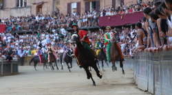 Palio di Siena, ecco cosa è accaduto nella prima giornata. Sorprese e conferme tra cavalli e fantini