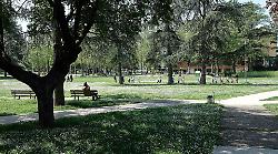 Arezzo, petizione delle mamme per riavere i giochi al parco Giotto