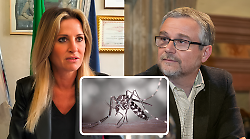 La guerra delle zanzare.  Chiassai Martini scrive a Bezzini: "Aumentano i casi di virus, si confronti con gli esperti e cambi la normativa sulle disinfestazioni"