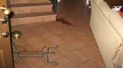 L'arma del delitto di Garlasco, la teoria del portavaso da sempre sulla scena dell'omicidio. Chiara Poggi è stata uccisa così?  