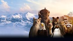 The Americas, stasera in tv su Rai 2 le meraviglie naturali del continente americano. Ultimo emozionante viaggio