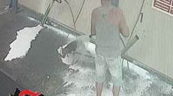 Cane all'autolavaggio, legato e lavato con la lancia ad alta pressione. Il proprietario denunciato per maltrattamenti
