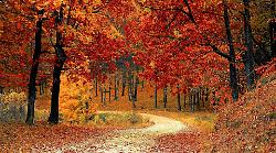Conto alla rovescia per l'arrivo dell'autunno. Ultimo scampolo di bella stagione. Le previsioni