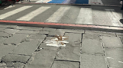 Arezzo, nastro adesivo per tappare le buche prima della Maratonina