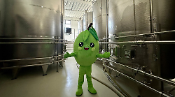 Alla scoperta dei progetti per le scuole aretine: sfoglia l'inserto