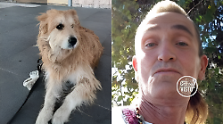 Il cane Magic aiuta a ritrovare il suo padrone scomparso: il mistero e il miracolo di René Tassi a Chi l'ha visto?