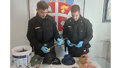 Arrestati dopo la fuga nei boschi: nell'auto rubata una pistola, guanti, maschere e un secchio con i chiodi anti inseguimento