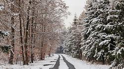 Meteo, allerta gialla per neve emessa dalla Protezione civile. Fiocchi attesi in collina, ma non solo