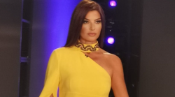 Ballando con le Stelle nella fase decisiva, sfida per conquistare la semifinale. La ballerina per una notte