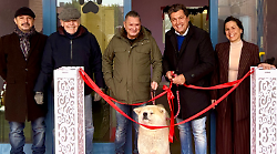 Aprono negozio di toelettatura per cani a Castiglion Fiorentino