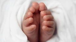 Non pu&ograve; usare il seme del marito morto per avere un figlio. I giudici confermano il divieto della procreazione medicalmente assistita post mortem