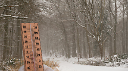 Allerta neve della Protezione civile per la provincia di Arezzo. Possibili accumuli sulle strade